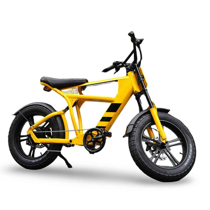 Mangosteen FT03 Elektrofahrrad 3 Jahre Garantie