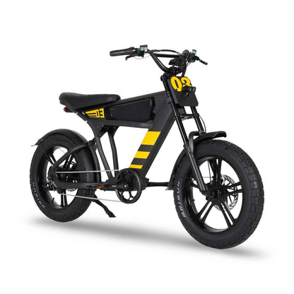 Mangosteen FT03 Elektrofahrrad 3 Jahre Garantie