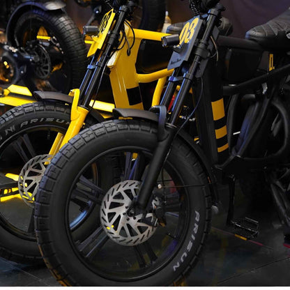 Mangosteen FT03 Elektrofahrrad 3 Jahre Garantie