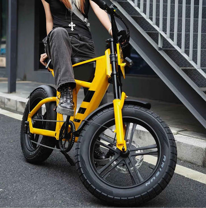 Mangosteen FT03 Elektrofahrrad 3 Jahre Garantie