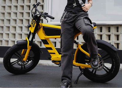 Mangosteen FT03 Elektrofahrrad 3 Jahre Garantie