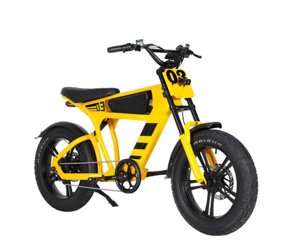 Mangosteen FT03 Elektrofahrrad 3 Jahre Garantie