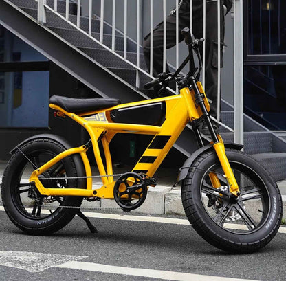 Mangosteen FT03 Elektrofahrrad 3 Jahre Garantie