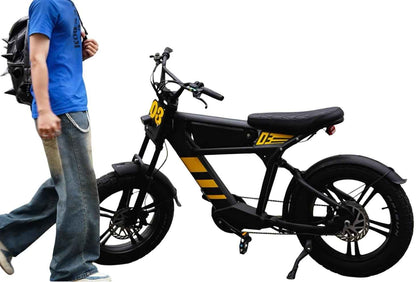 Mangosteen FT03 Elektrofahrrad 3 Jahre Garantie